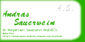 andras sauerwein business card